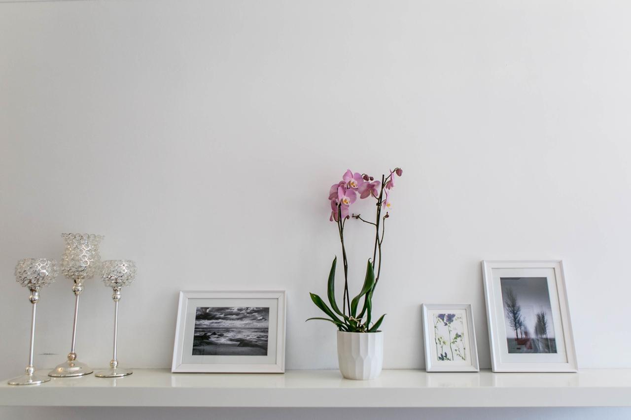 Hayes Bank Bed and Breakfast Ashford  Exteriör bild
